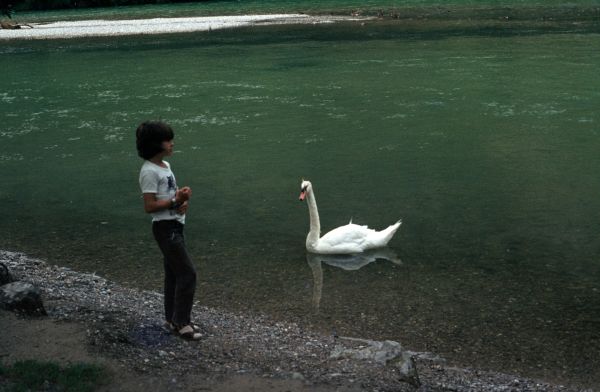 Achensee1982 0005